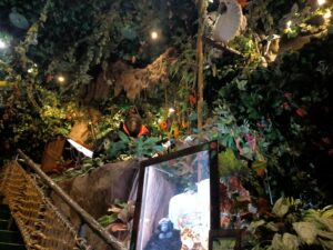 「レインフォレストカフェ東京の店内で、観葉植物に囲まれた大きな水槽とジャングル風の装飾が並ぶ様子」