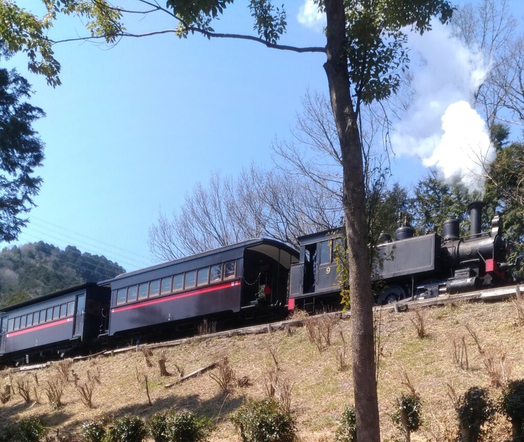 明治村の株主優待レビュー｜名古屋鉄道優待で大人・高校生の入村料を1,250円に割引の写真