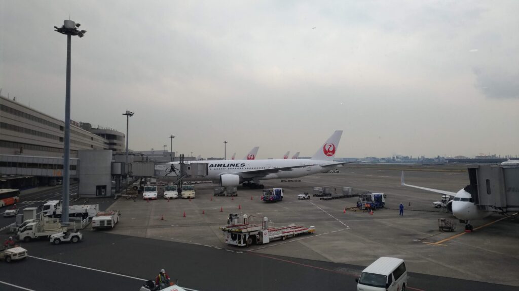 JAL株主割引券で日本航空株主優待を活用｜家族旅行や帰省に使いやすい国内線優待の写真
